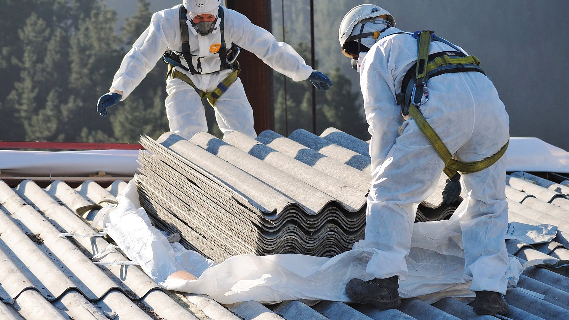 Asbestos Removal