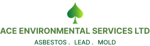 ACE Environmental Logo